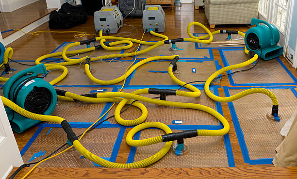 Professional Crawl Space Water Removal technician working in Holmdel, NJ
